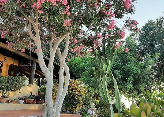 Panorama In Privater By Interhome זמברונה