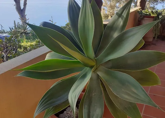 Panorama In Privater By Interhome ザンブローネ